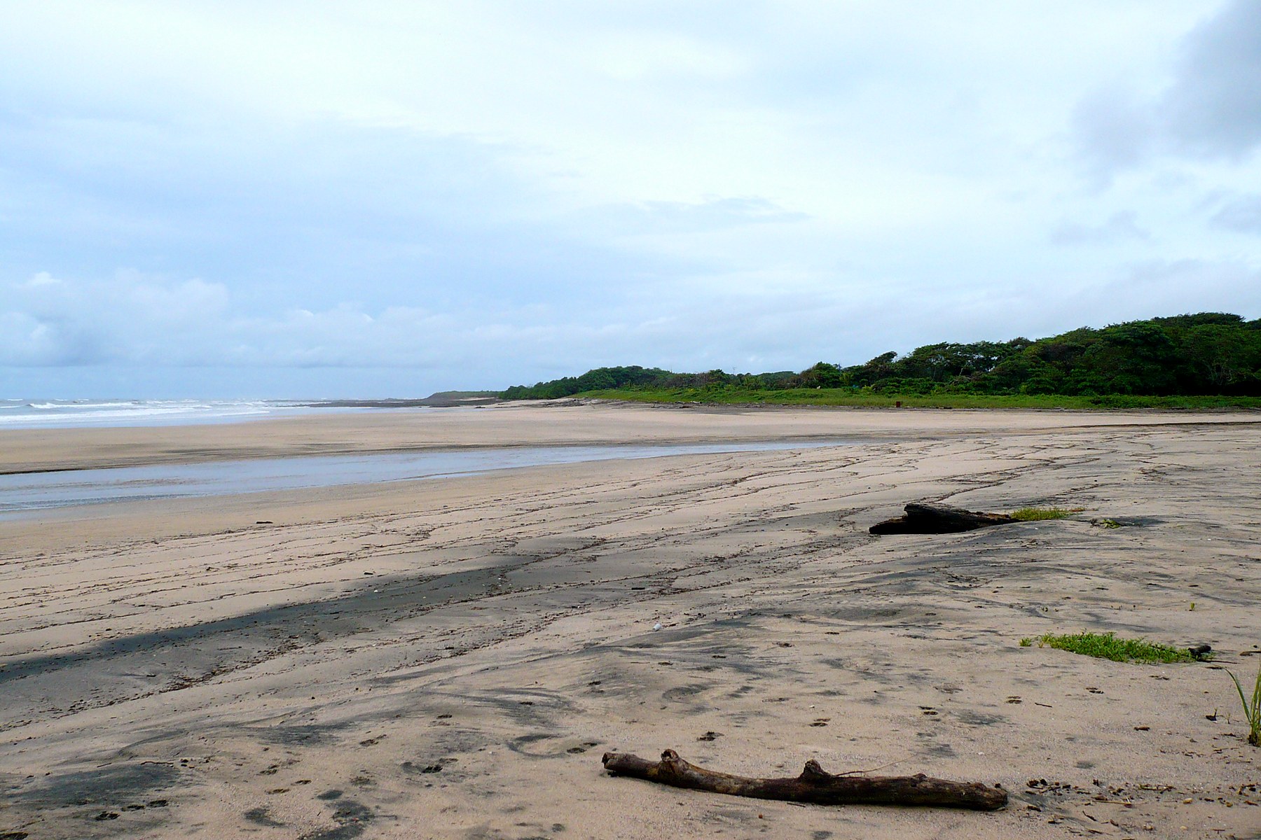 Playa Avellanas - panoramio.jpg