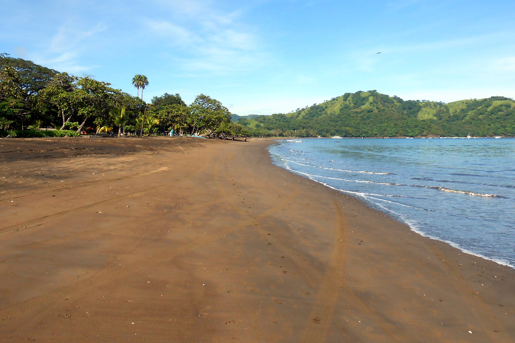 Playa del Coco Guanacaste.jpg